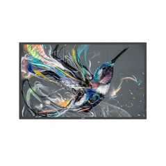 Philips 65 D-LED ECO-design 4K (65BDL3650QE/00) - Stunning Clarity and Eco-Friendly Performance